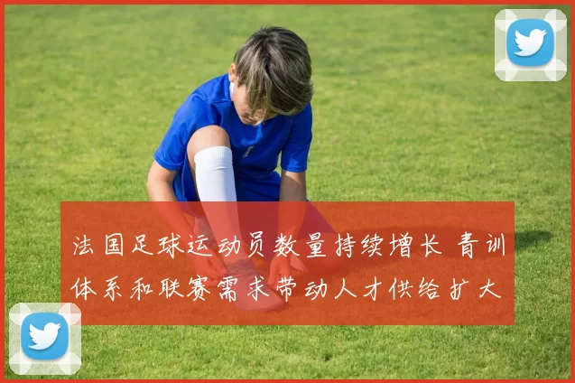 法国足球运动员数量持续增长 青训体系和联赛需求带动人才供给扩大