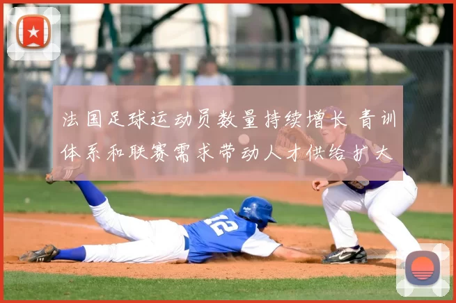 法国足球运动员数量持续增长 青训体系和联赛需求带动人才供给扩大